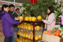 A variety of food and fruit specialties from across the nation will be available at the 2015 Spring Fair. (Photo: VNA)