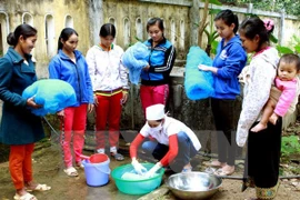 Vietnam takes drastic measures to eliminate malaria (Photo: VNA)