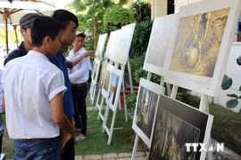 Visitors to the Vietnam Heritage Photo exhibition (Photo: VNA)