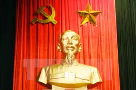 Illustrative image (Photo:VNA)