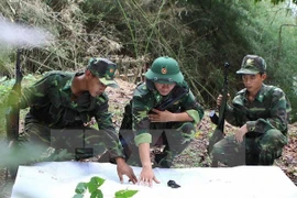 Illustrative photo. (Source:VNA)