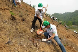 Honda Vietnam leaders take part in the tree planting project. Source: VNA 