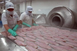 Processing tra fish for export (Source: VNA)