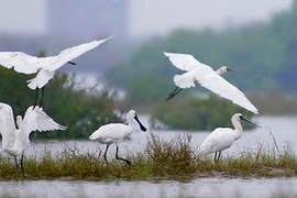 Illustrative image (Source: Internet)