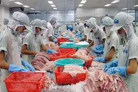 US extends review of rules for imported catfish