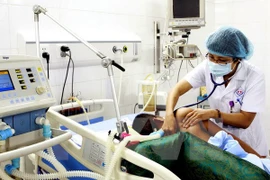Illustrative image (Photo: VNA)