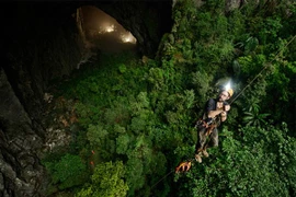 Only 164 people visited Son Doong cave in the first half of this year (Photo: quangbinh.gov.vn)