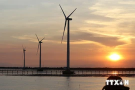 Wind power plant in the southern province of Bac Lieu. (Source: VNA)