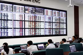 Investors watch stock movements at Kim Eng Vietnam Securities Co in HCM City. Viet Nam's stock markets ended 2014 on a high note. (Photo: VNA)