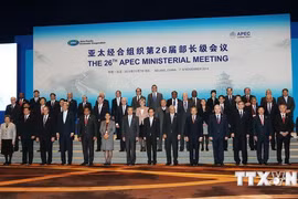 Deputy Prime Minister and Foreign Minister Pham Binh Minh (third from right) attends the event (Photo: VNA)