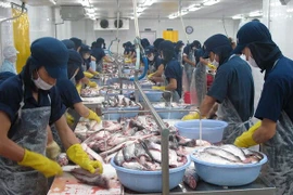 Processing fillet tra fish. (Source: VNA)