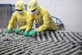 Processing aquatic products in Ca Mau (Source: VNA)