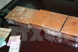 In 2014, Vietnam uncovered 19,195 drugs cases involving 28,880 suspects and seized 573.2kg of heroin (Photo: VNA)