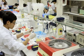 Medical workers test blood samples (Photo: VNA)