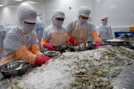 Processing for exports (Photo: VNA)