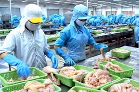 Seafood export values to increase 