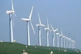 Group seeks renewable energy deals with Germans