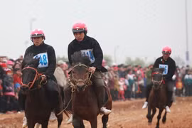 The horse race featuring Mong ethnic jockeys drew many onlookers on Saturday (Photo: VNA)