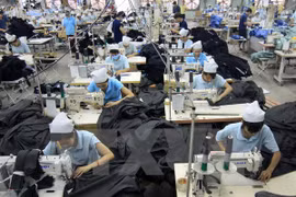 A garment factory (Photo: VNA)