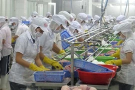 Seafood processing in My Tho industrial park. Illustrative image. Source: VNA