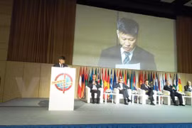 The Vietnamese official made a speech at the international workshop in Moscow. (Photo: VNA)
