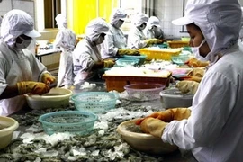 Frozen shrimp processsing (Source: VNA)