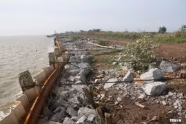 A breakwater is reinforced (Photo: VNA)