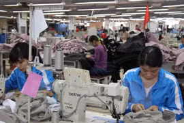 Garments grew 25.9 percent yearly to hit 492.51 million USD. (Photo: VNA)