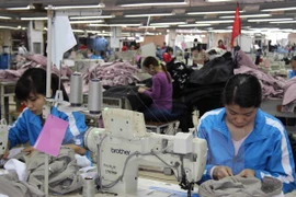 Garments grew 25.9 percent yearly to hit 492.51 million USD. (Photo: VNA)