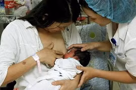 Illustrative image (Photo: Duong Ngoc/VNA)