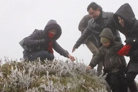 Mau Son mountain covered with ice and snow 