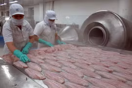 Vietnam surpassed China to become the top exporter of frozen fish fillets to Brazil (Photo:VNA)