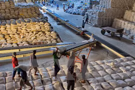 Rice sacks are loaded for export at the Hau Giang Food Joint Stock Company (Photo: VNA)