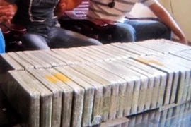 Drug seized in a trafficking case (Source: VNA)