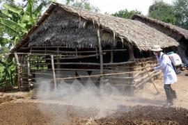 A veterinary worker sterilise a farm (Photo: VNA)