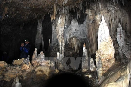 The cave system with magnificent stalactites has been discovered on the Dong Van karst plateau near Lung Khuy village commune (Photo: VNA)