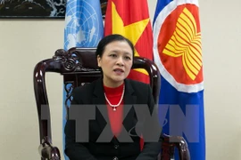 Ambassador Nguyen Phuong Nga (Photo:VNA)