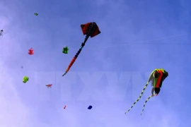 Kites flied at the 6th Ba Ria - Vung Tau International Kite Festival 2015. (Photo: VNA)