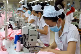 Workers at the Donaganex (Photo: VNA) 