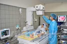 The Vietnam-Japan digestive endoscopy centre at Bach Mai hospital (Source: VNA)