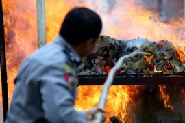 A drug haul is destroyed in Myanmar (Photo: AFP/VNA)