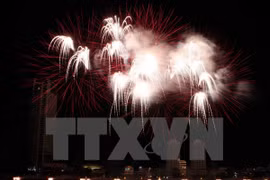 A firework display by a team from the US at the 2013 Da Nang International Fireworks Competition (Photo: VNA)