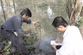 Measuring the salinity of the Cai Lon River in Kien Giang province (Photo: VNA)