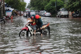 A street in Ca Mau province is inundated after over one day of heavy rains (Photo: VNA)