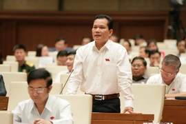 deputy Bui Sy Loi from the central province of Thanh Hoa (Photo:VNA)