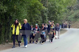 Tourists experience eco-tourism in Sa Pa resort town. (Photo: VNA)