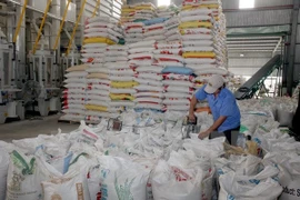 The region looks to garner around 10.2 billion USD from the export of rice and aquatic products. (Photo: VNA)