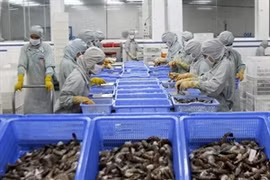 Seafood production for exports. (Photo: VNA)