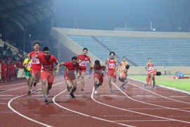Vietnamese athletes are aiming for higher achievements at regional and international sport tourneys this year (Photo: VNA)