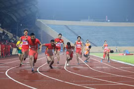 Vietnamese athletes are aiming for higher achievements at regional and international sport tourneys this year (Photo: VNA)